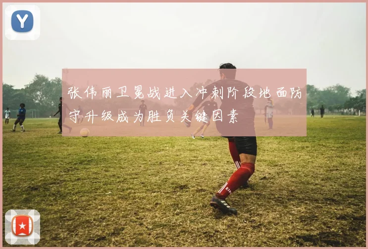 张伟丽卫冕战进入冲刺阶段地面防守升级成为胜负关键因素