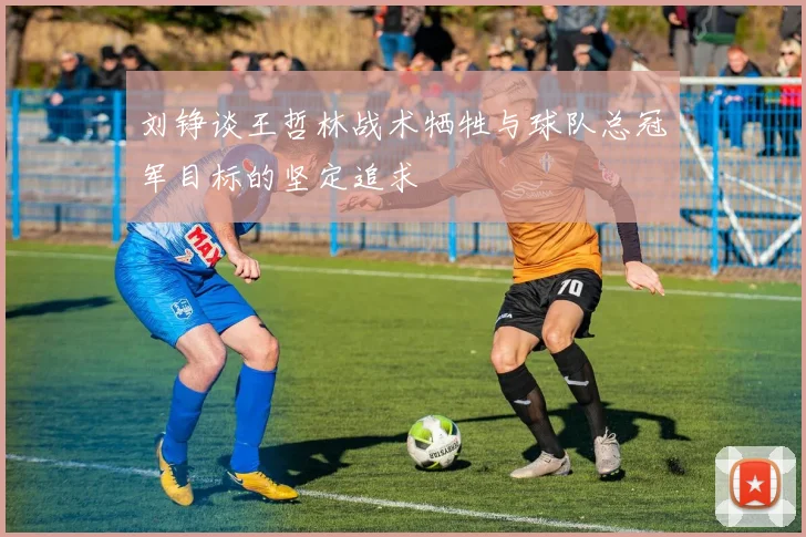 刘铮谈王哲林战术牺牲与球队总冠军目标的坚定追求